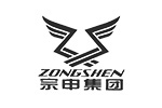 廢氣（qì）治理案例_宗（zōng）申集團